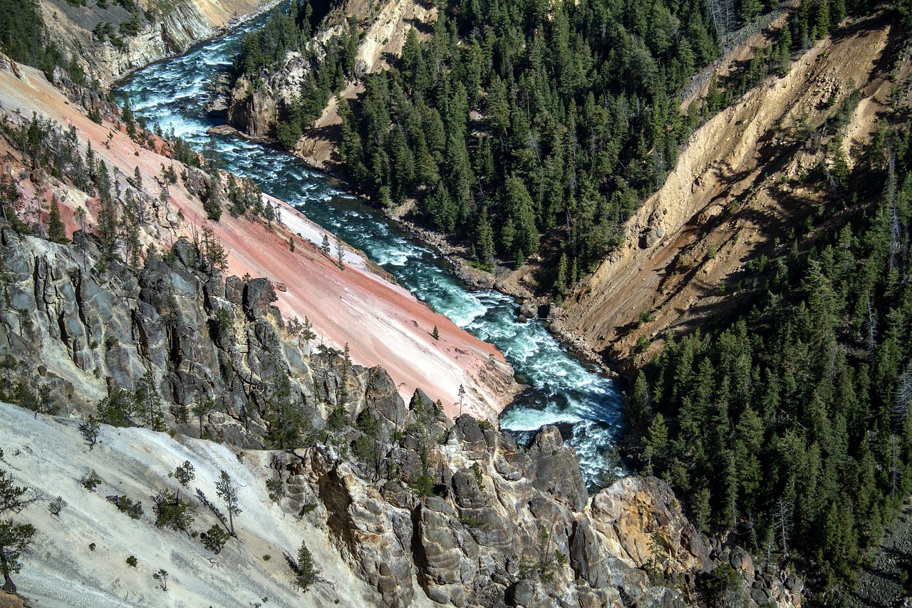 Top 10 Wildlife Viewing Spots in Denali National Park